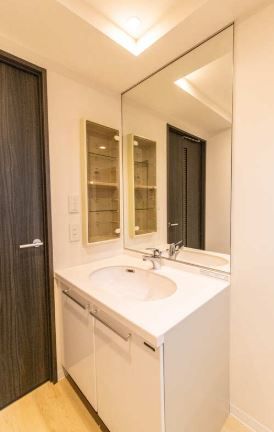 洗面設備　（別タイプ参考写真）フェニックス池袋North　豊島区池袋1