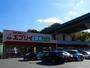 スーパー　ーパー エブリイ沼田店（スーパー）まで1100m