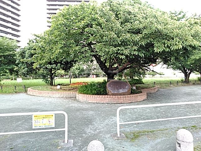 公園　橋本公園（公園）まで592m