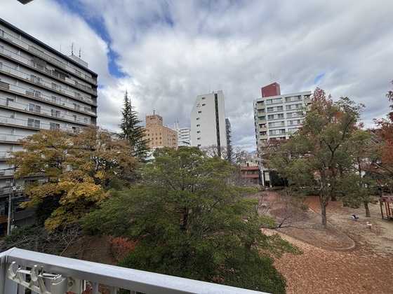 眺望　※別部屋の写真です