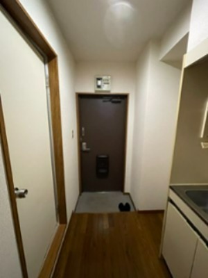 玄関　他のお部屋の写真です