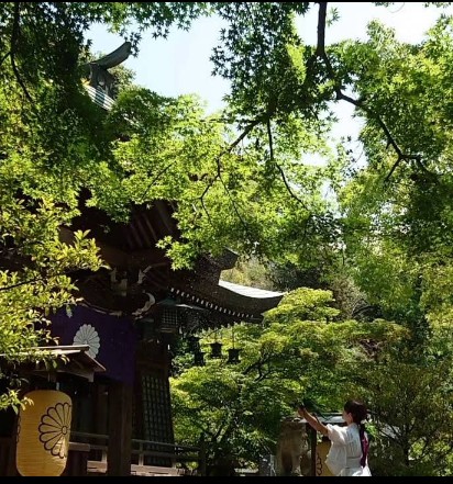 その他　垂水神社（その他）まで725m