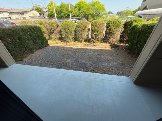 庭
