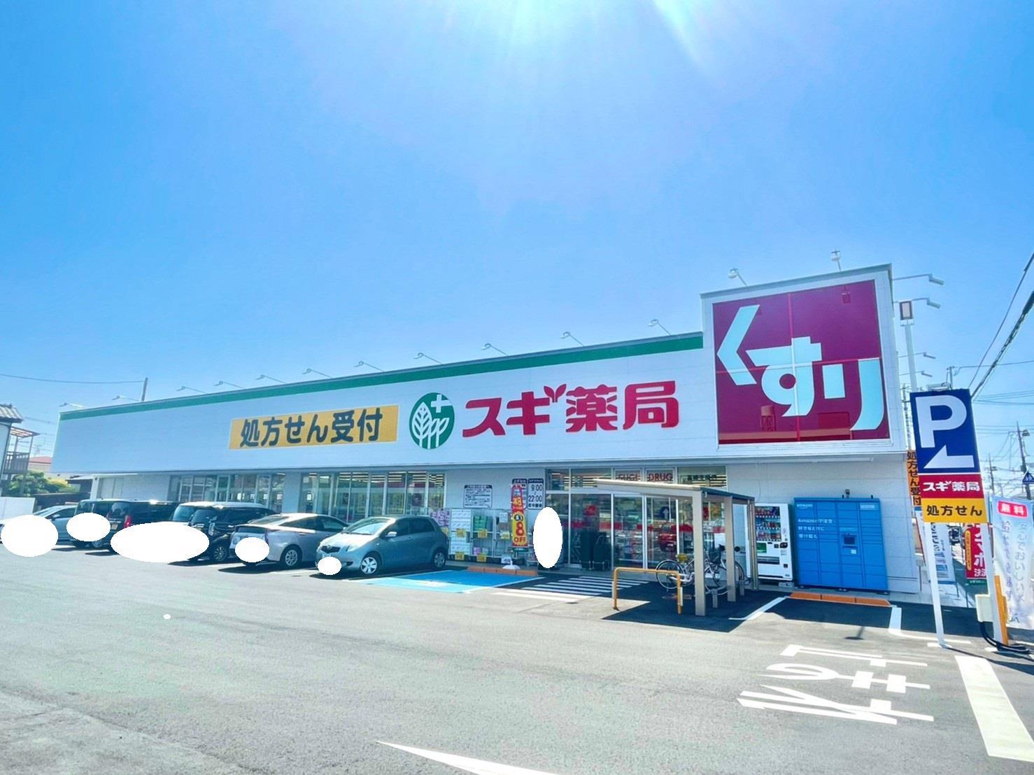 ドラックストア　スギ薬局高崎並榎店（ドラッグストア）まで737m