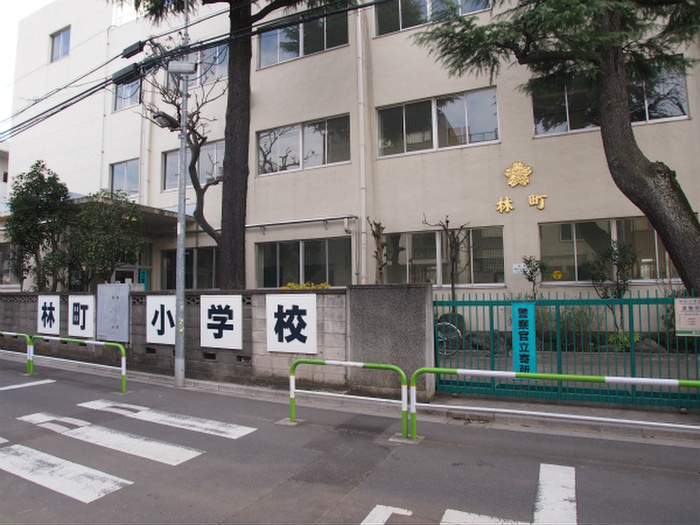 小学校　林町小学校（小学校）まで549m
