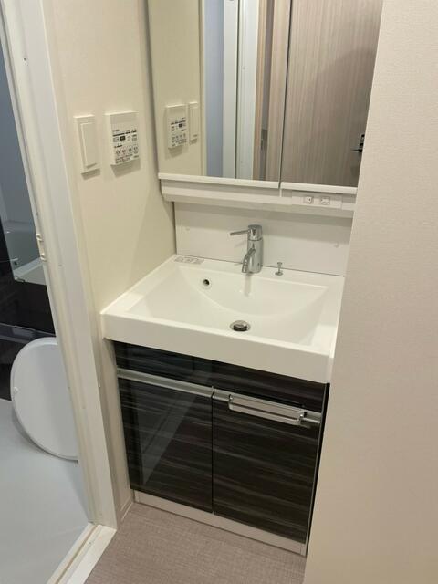 洗面設備　同タイプ別部屋の内装参考写真…?