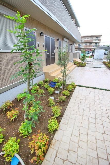 庭　綺麗な植栽