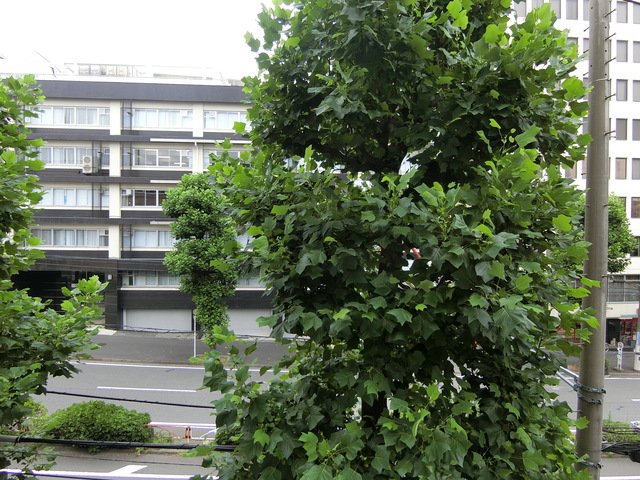 眺望　展望良好♪