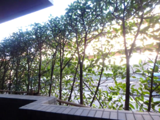 眺望　別部屋同タイプのお写真から物件の雰囲気をご参考くださいませ。