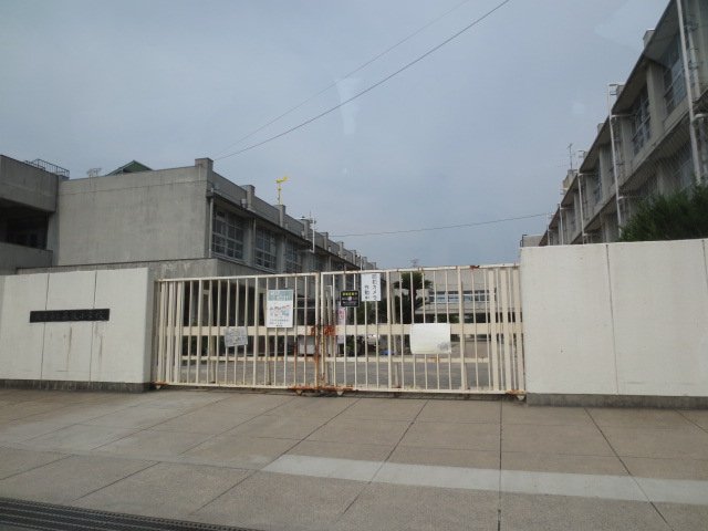 小学校　枚方市立藤阪小学校（小学校）まで774m