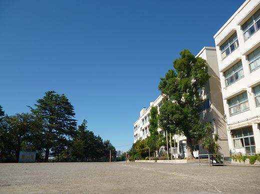 小学校　横浜市立谷本小学校（小学校）まで979m