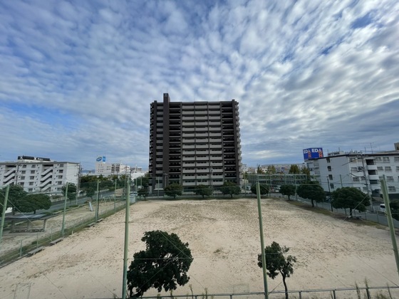 眺望　※別号室の写真です