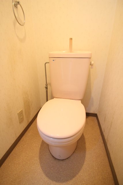 トイレ　同物件別号室の写真です。