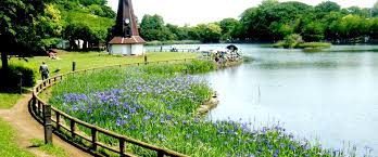 公園　都立浮間公園（公園）まで971m