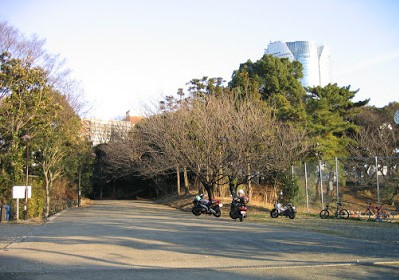 公園　東京都立青山公園南地区（公園）まで616m
