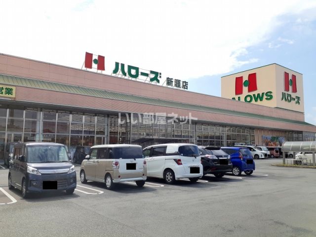 スーパー　ハローズ　新涯店（スーパー）まで853m