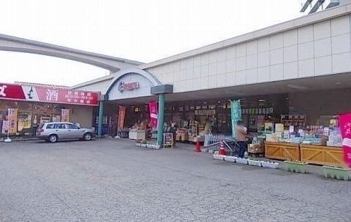 スーパー　フレスタ（スーパー）まで850m