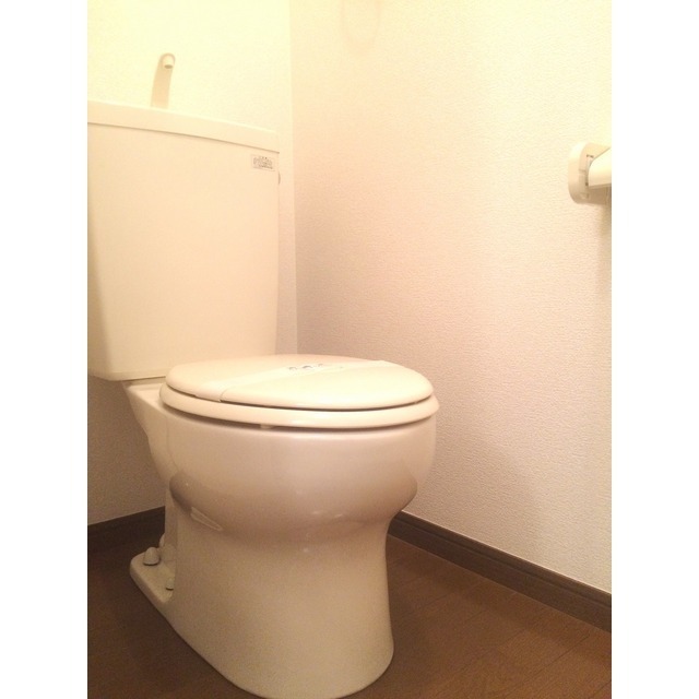 トイレ　同物件の別部屋の写真です