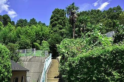 公園　柿生緑地（公園）まで719m