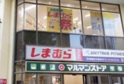 ショッピングセンター　ファッションセンターしまむら椎名町店（ショッピングセンター）まで571m
