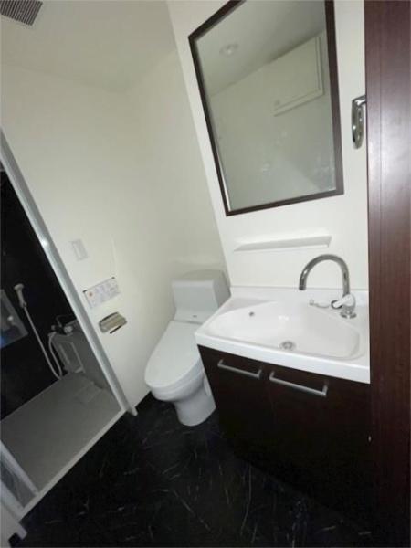 洗面設備　別部屋の参考写真です。現況有姿