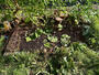 庭　融雪槽