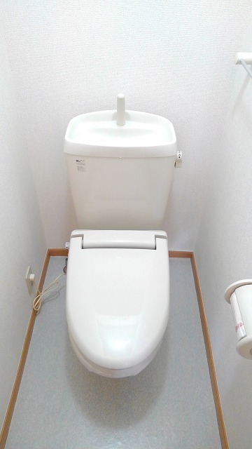 トイレ　トイレも気になるポイント