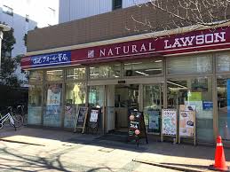 コンビニ　ナチュラルローソン豊洲三丁目店（コンビニ）まで94m