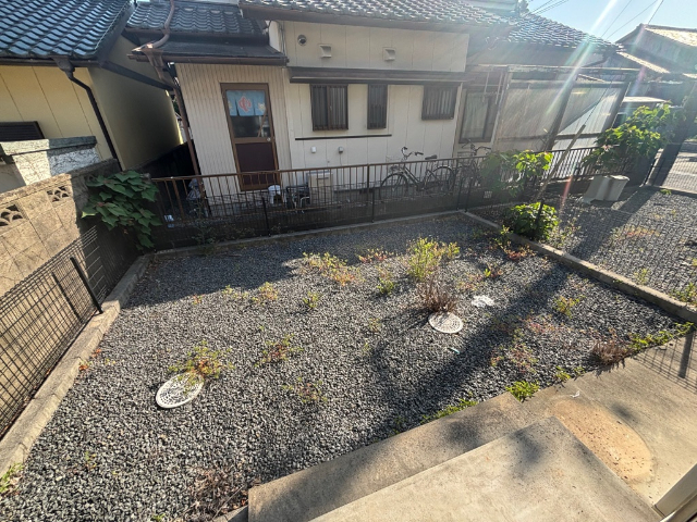 庭