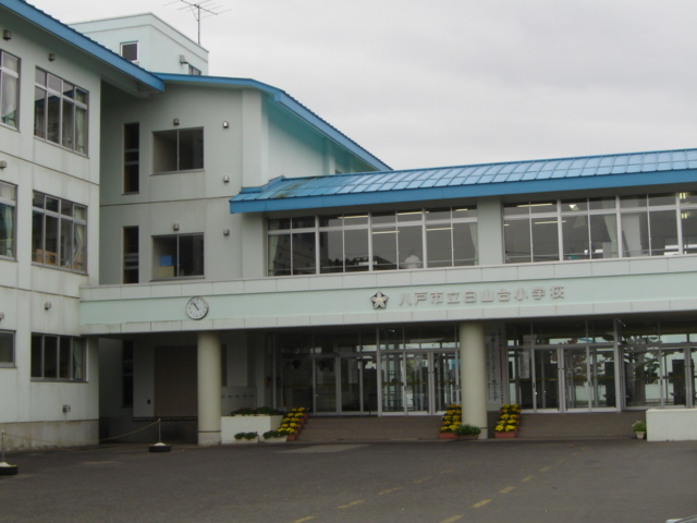 その他　白山台小学校（その他）まで800m