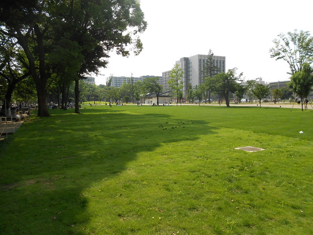 公園　セントラルパーク（公園）まで800m
