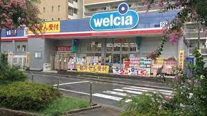 ドラックストア　ウエルシア板橋志村店（ドラッグストア）まで495m
