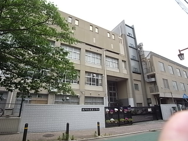 小学校　神戸市立成徳小学校（小学校）まで446m