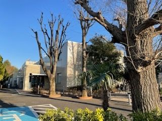 図書館　練馬区立関町図書館（図書館）まで1530m