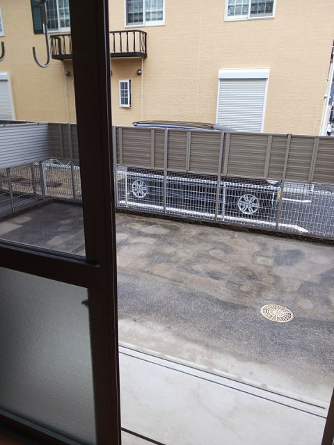 庭