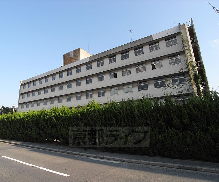 大学・短大　京都府立医科大学（花園）（大学・短大）まで1400m