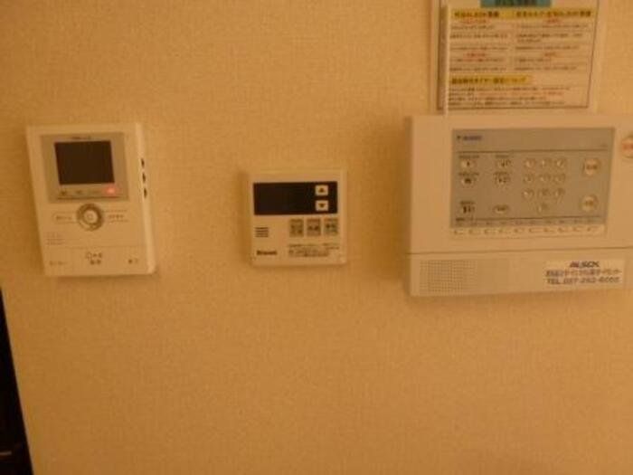 セレーネのその他写真