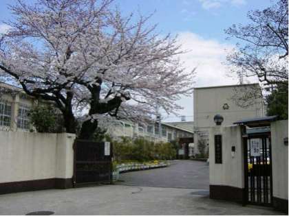 小学校　京都市立 音羽小学校（小学校）まで203m