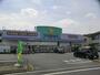 ドラックストア　ウェルパーク葛飾水元店（ドラッグストア）まで518m