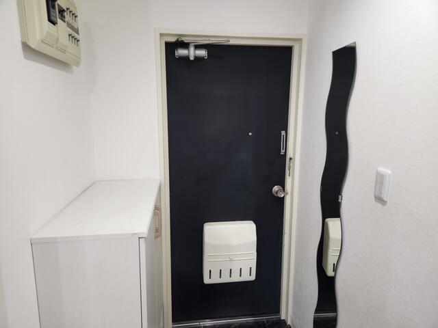 玄関　室内イメージ