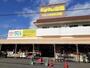 スーパー　マルス半田乙川店（スーパー）まで540m