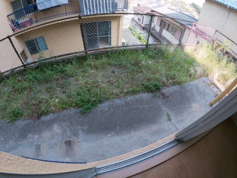 庭