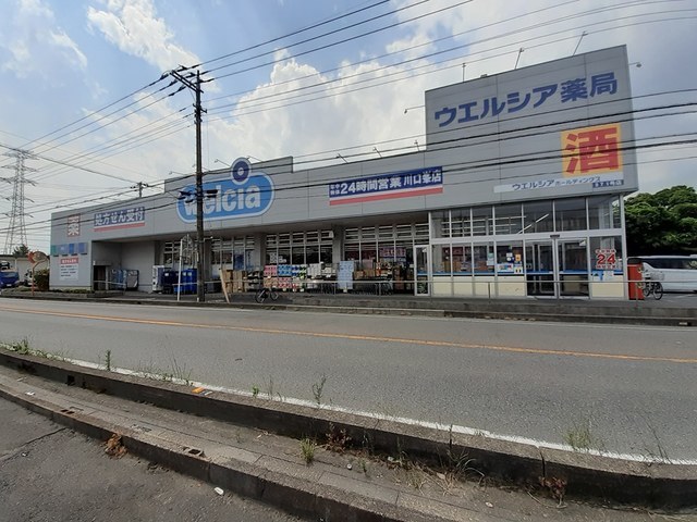 ドラックストア　ウエルシア川口峯店（ドラッグストア）まで551m