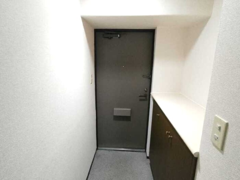 ハイラーク高崎の玄関写真