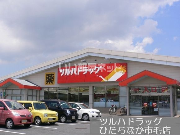 ドラックストア　ツルハドラッグ ひたちなか市毛店（ドラッグストア）まで1402m