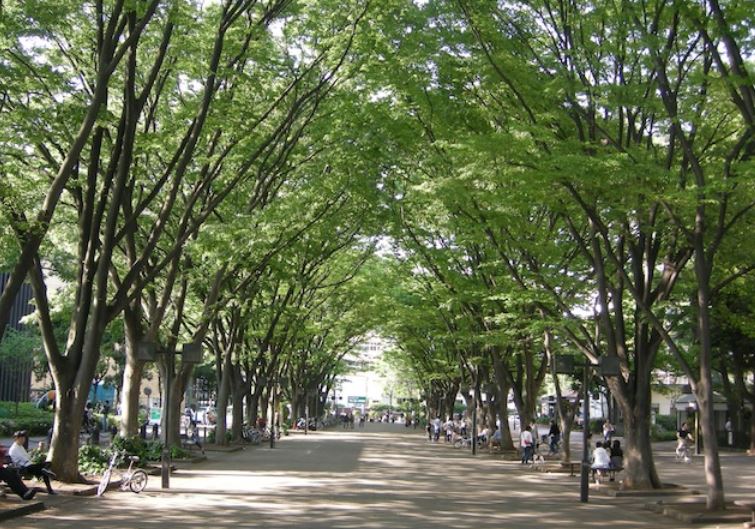 公園　馬事公苑（公園）まで1700m