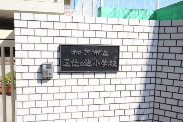 小学校　神戸市立五位の池小学校（小学校）まで485m