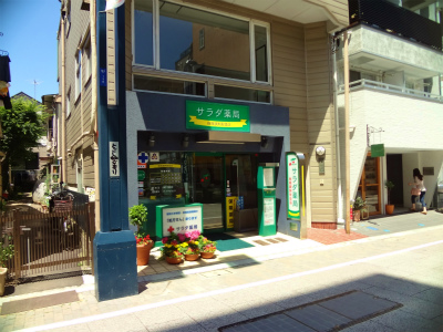 カーサトリプレットの周辺写真