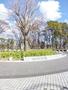 公園　白川公園（公園）まで1003m