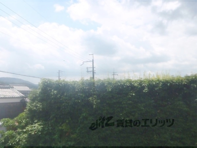 眺望　植栽が見えます